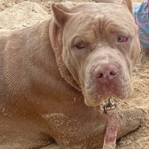 Meet your Posher, Leeann